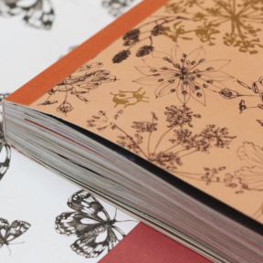 Book for Paper Lovers 8: Meet the designers